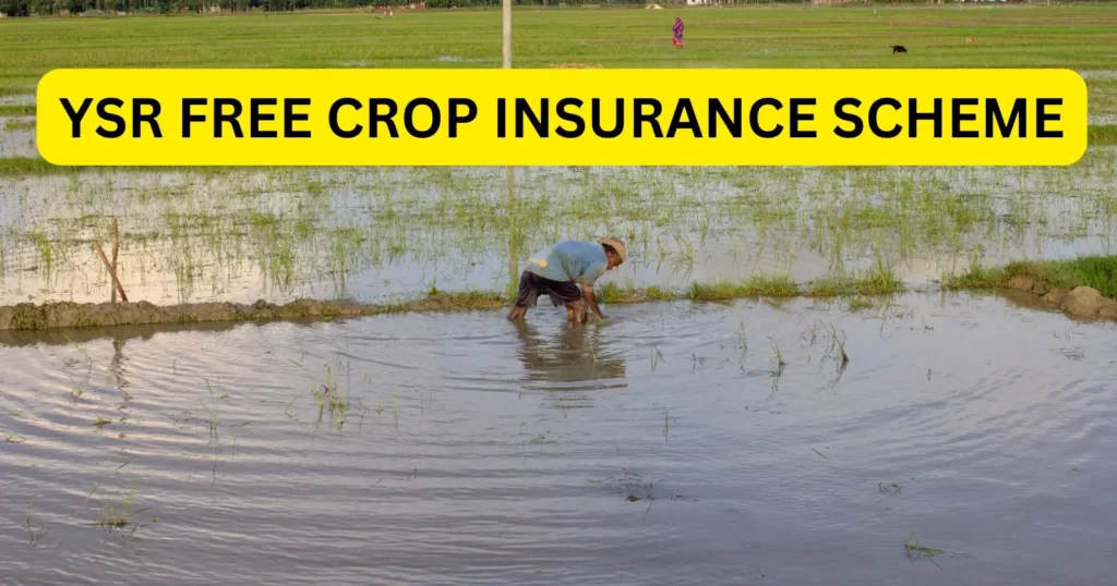 ysr free crop insurance scheme