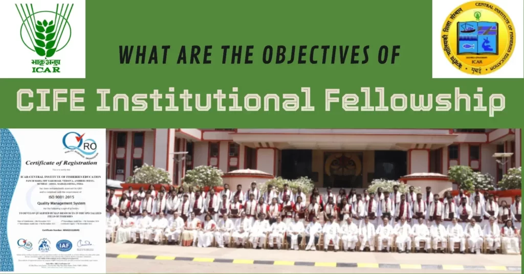 What is the objective of CIFE Institutional Fellowship