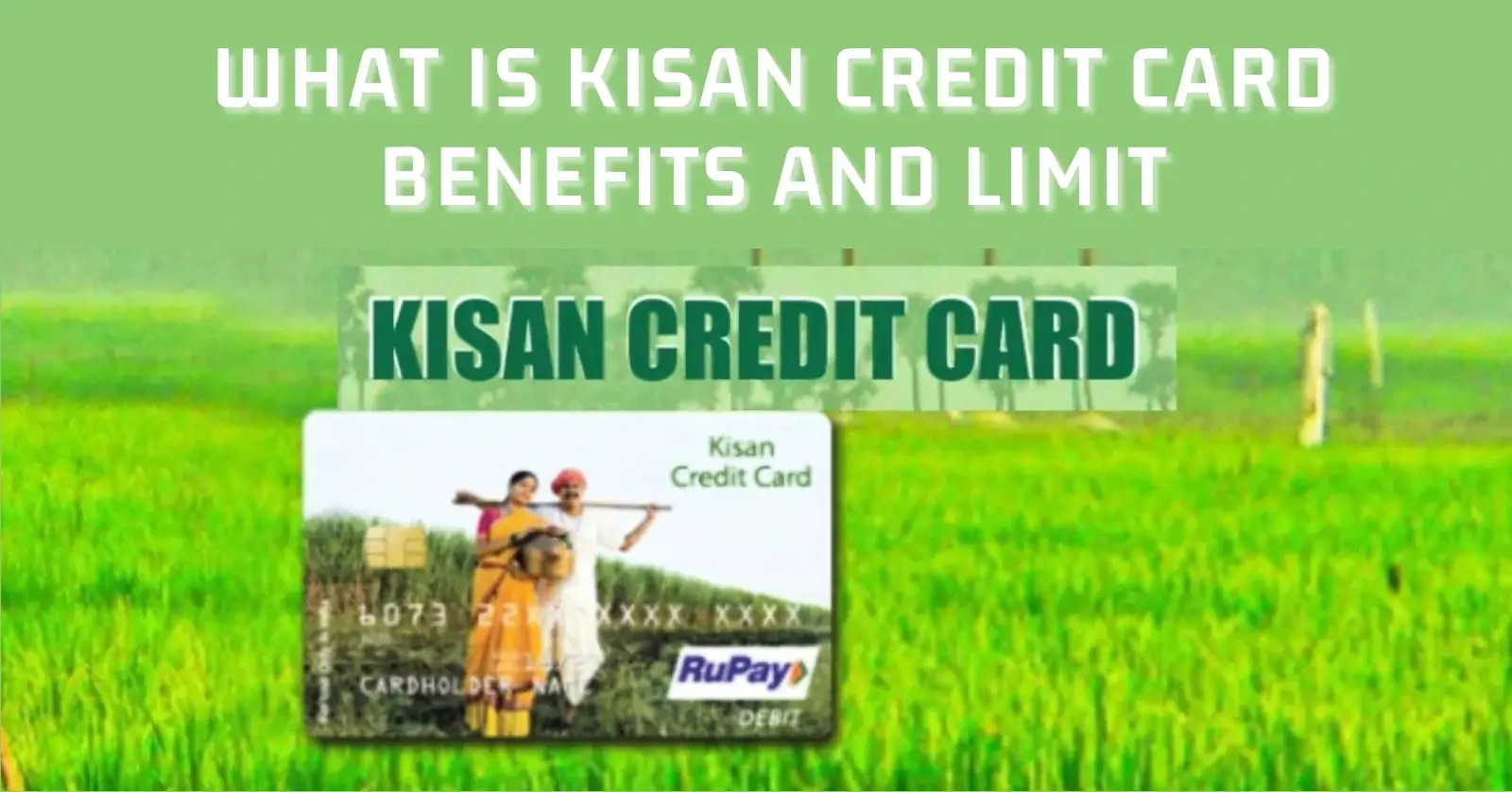 How to Apply for a Kisan Credit Card in India SACHIVALAYAM