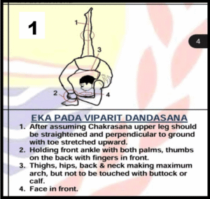 Eka Pada Viparit Dandasana