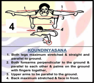 Koundinyasana