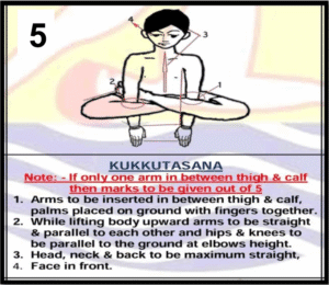 Kukkutasana