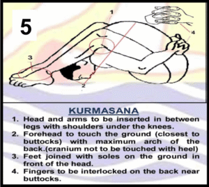 Kurmasana