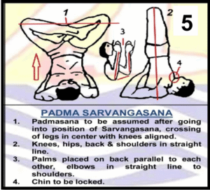 Padma Sarvangasana