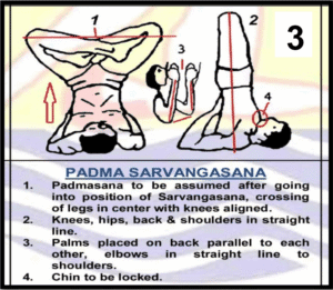 Padma Sarvangasana