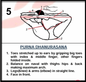Purna Dhanurasana