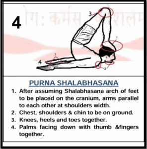 Purna Shalabhasana