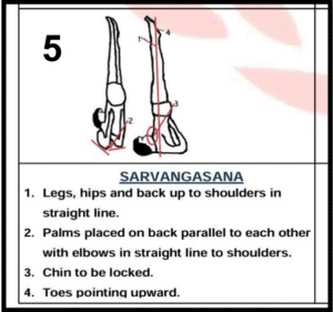 Sarvangasana
