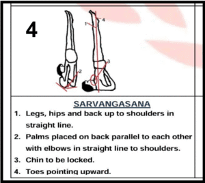 Sarvangasana
