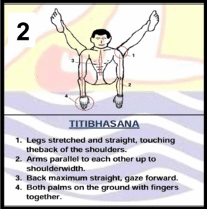 Titibhasana