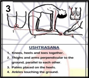 Ushtrasana