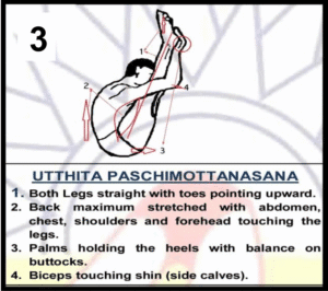 Utthita Paschimottanasana