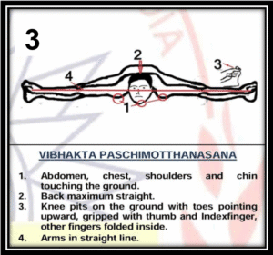 Vibhakta Paschimotthanasana