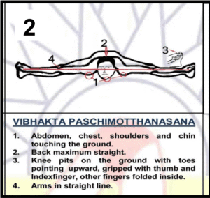 Vibhakta Paschimotthanasana