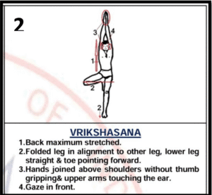 Vrikshasana