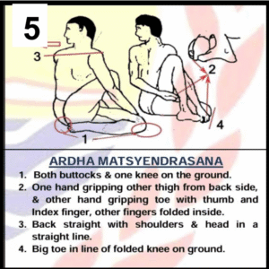 ardha matsyendrasana