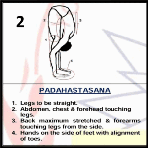 padahastasana