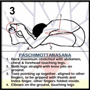 paschimottanasana