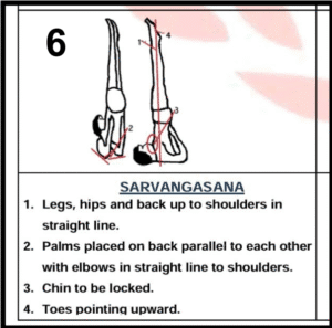 sarvangasana