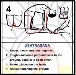 ushtrasana