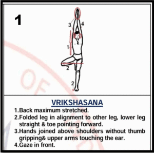 vrikshasana